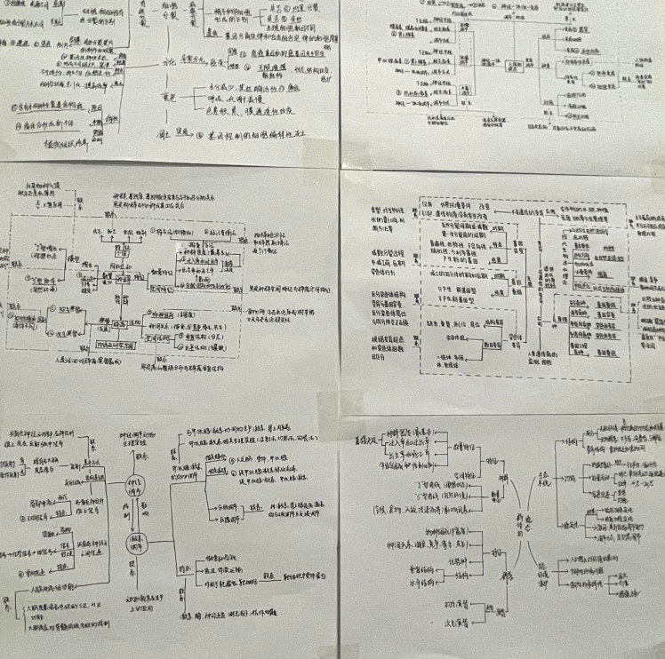 凝心聚力共前行——中恒高级中学高二A级部思维导图展示