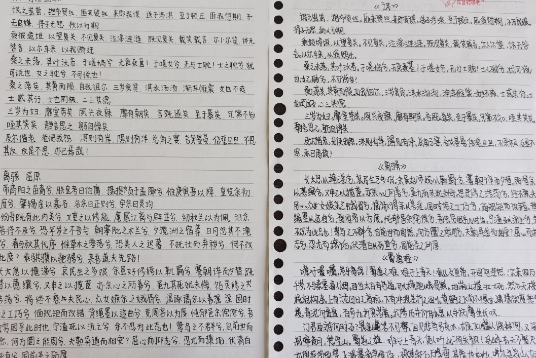 如虎添“语”翼——高二A部语文优秀作业展示活动